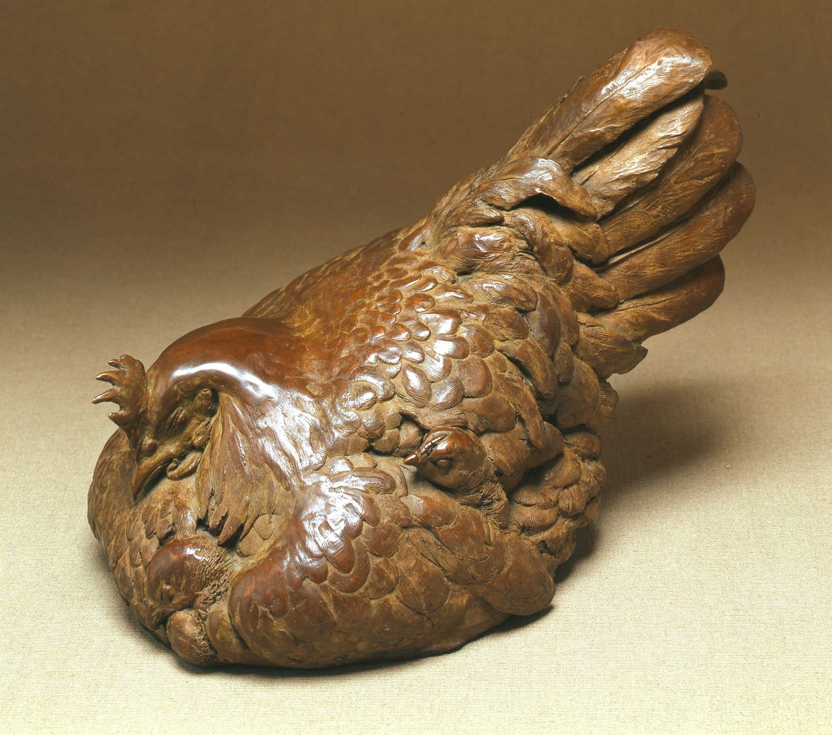 Broody hen with four chicks - bronze
