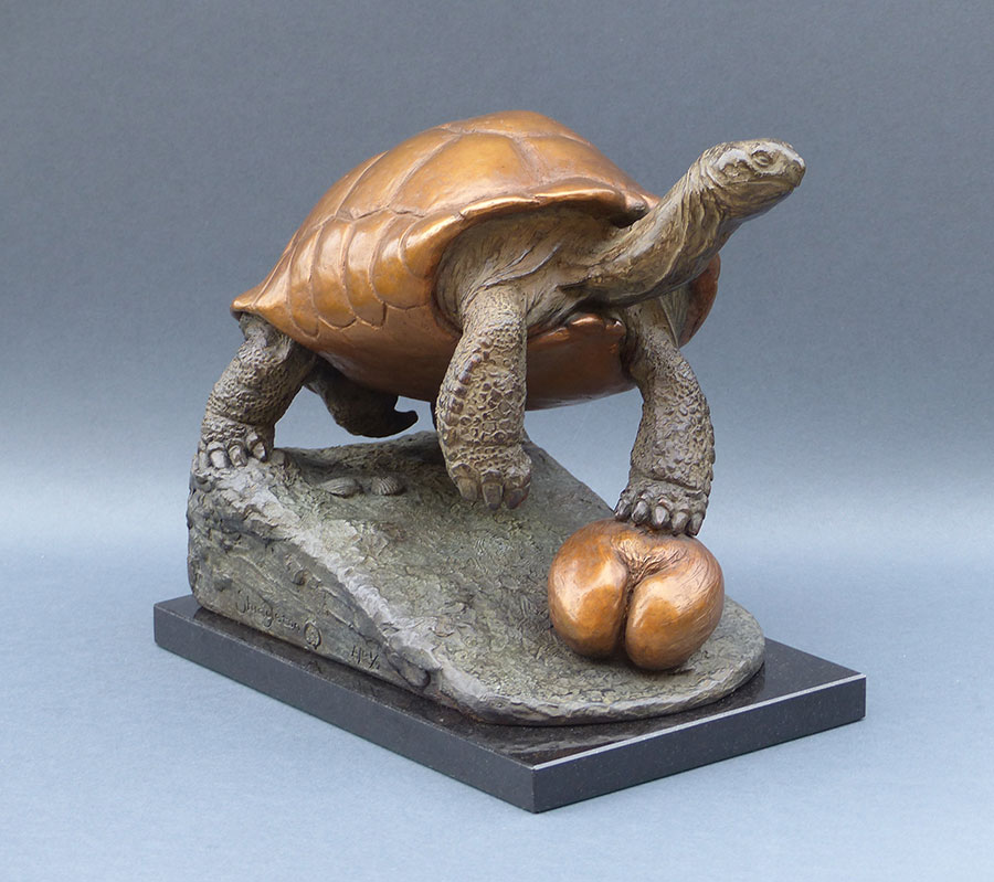 Aldabra tortoise and coco de mer