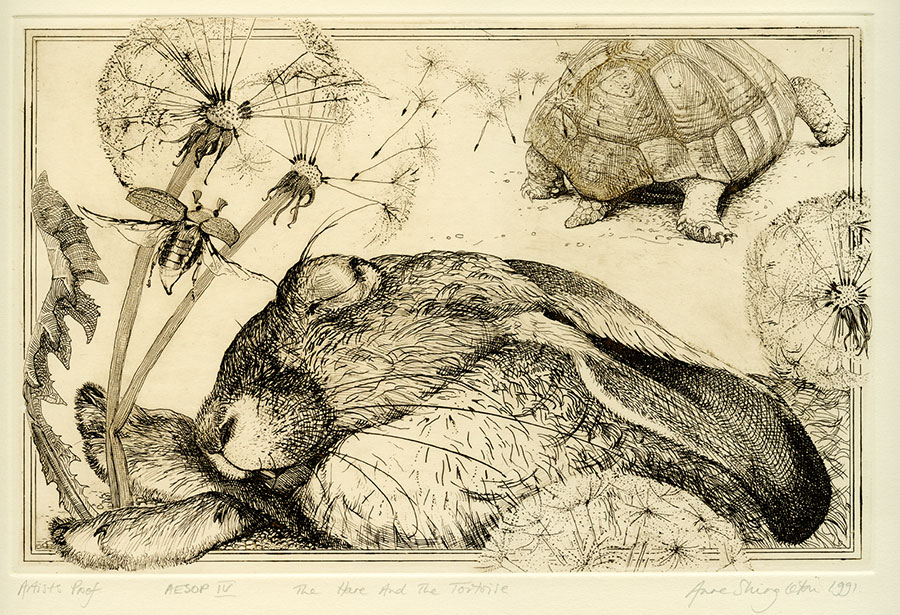 Aesop's fables IV - The hare and the tortoise