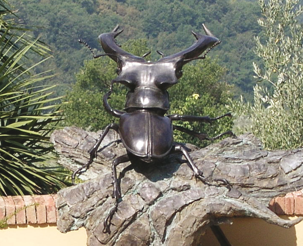 SCARABEO MONUMENTALE SU CORTECCIA