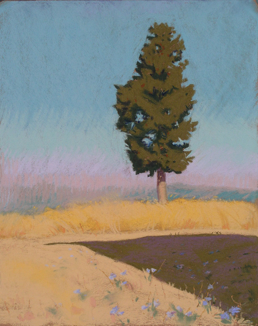 Single Cypress