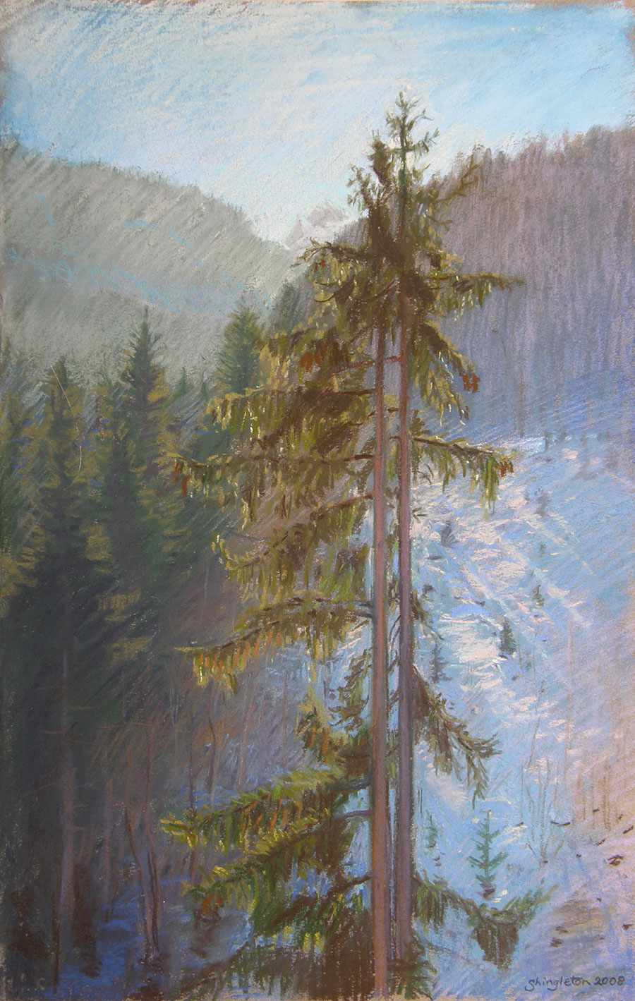 two pines backlit - Pastel