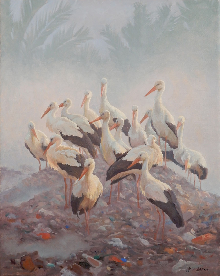 Dawn at the Dump - Anne Shingleton