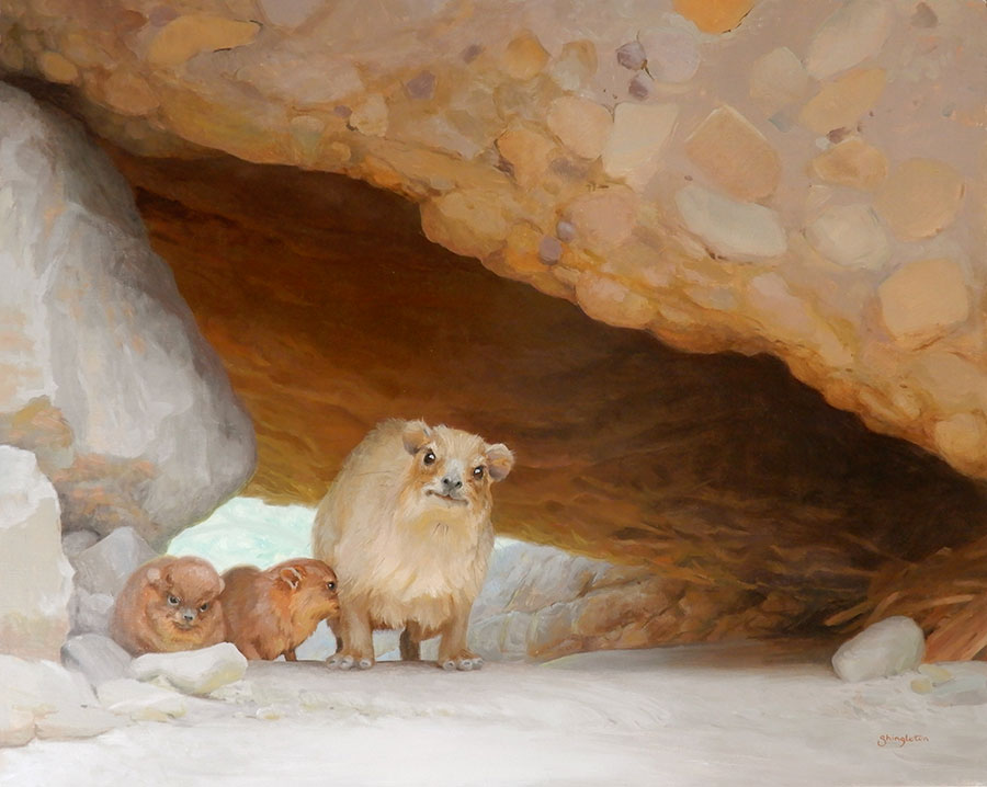 Famiglia di Hyrax