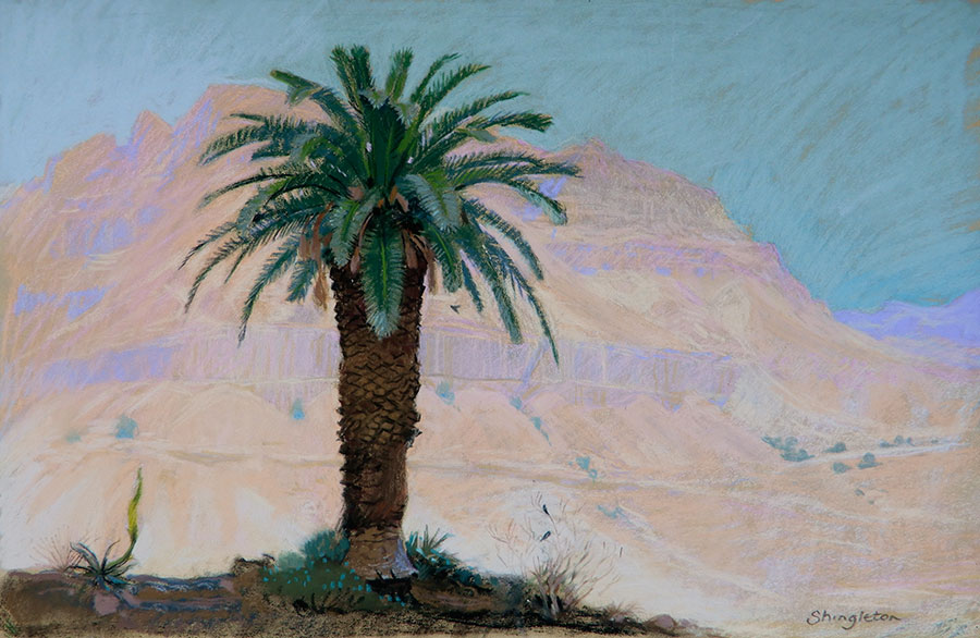 Old Palm Tree, Ein Gedi Kibbutz, Israel