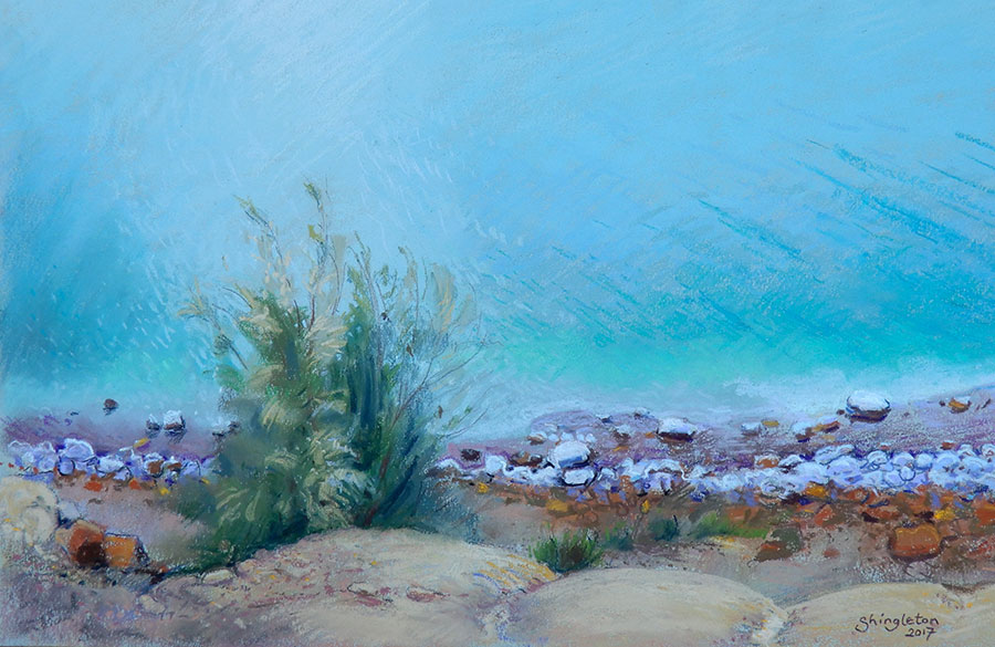 Tamarisk, Dead Sea Shore, Jordan