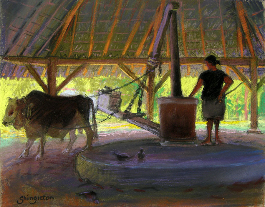 Coconut-press - Anne Shingleton pastel