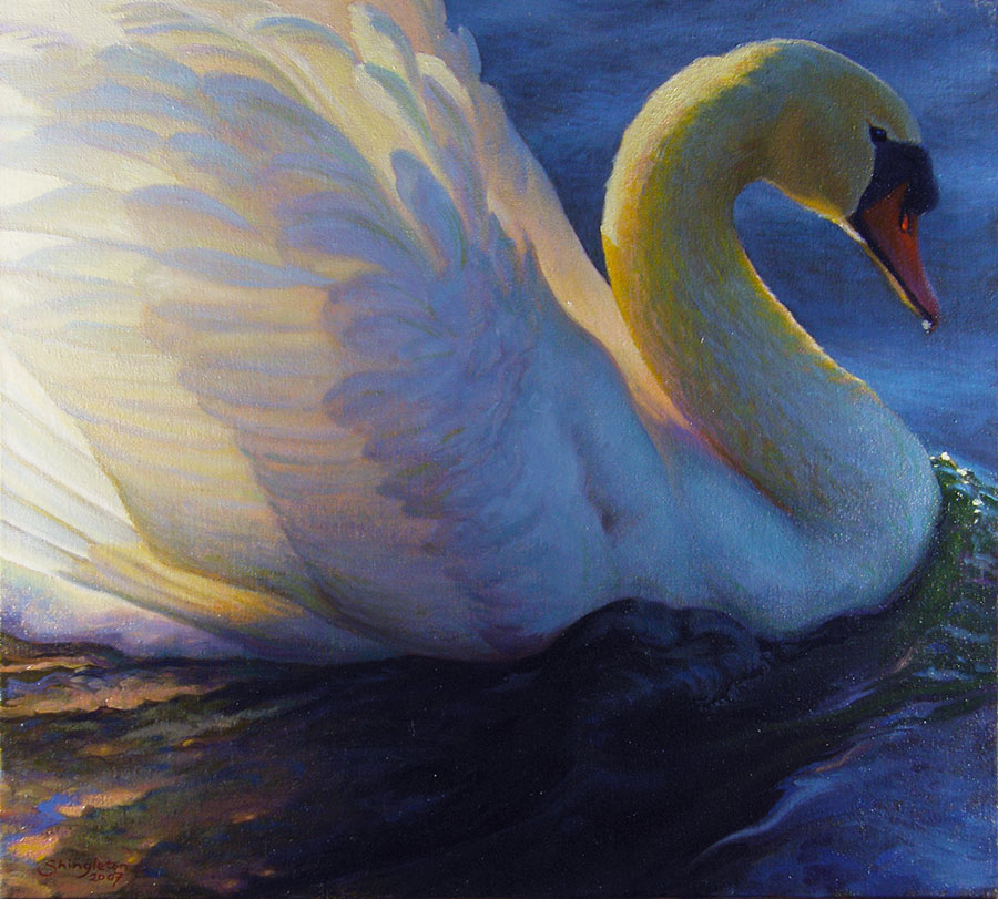 Swan portrait