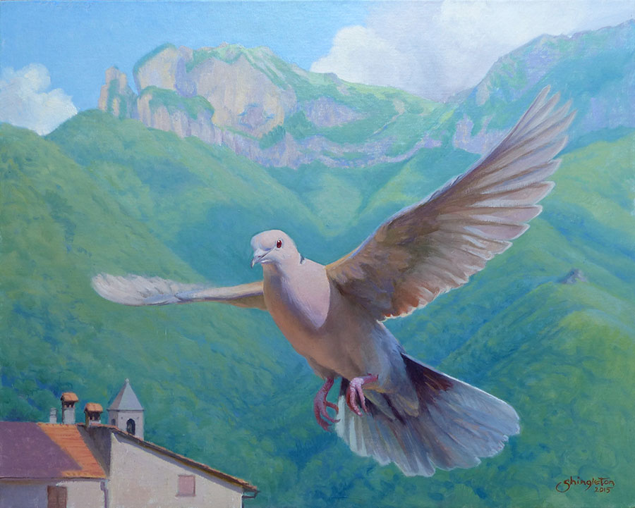 Ugo in volo, STAZZEMA